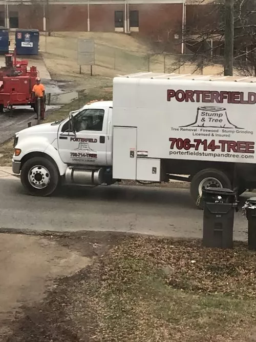 We hired Porterfield about a month ago to remove a large tree, several smaller trees, and clear brush from our backyard