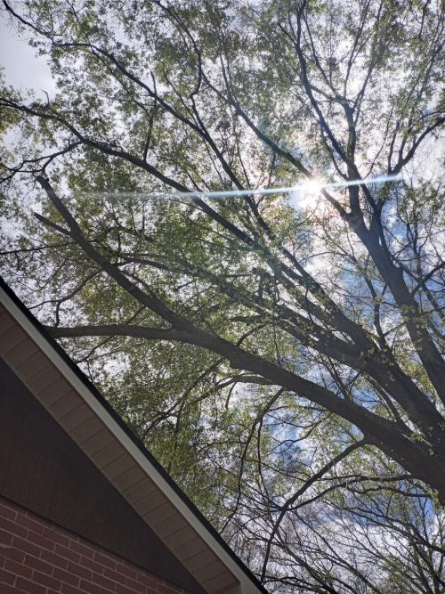  alt='Jarrad does a great job, he did 2 jobs for us, he works hard, he is very meticulous with his work. Our yard looks great'