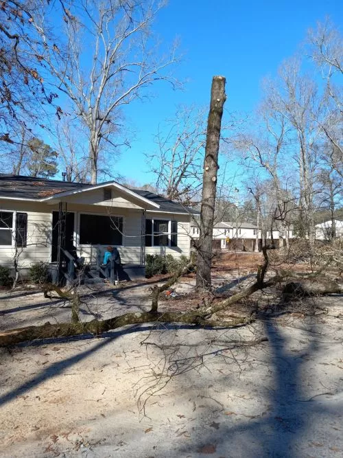 Removed several trees for me. Great work at reasonable/fair prices. 