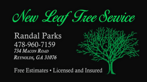  alt='Definitely recommend New Leaf Tree Service! I had a large damaged tree that could have potentially fallen on my barn'