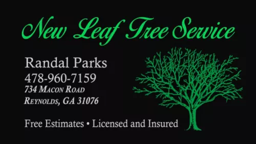These guys are very professional. They are on time, take care of the limbs, haul it away