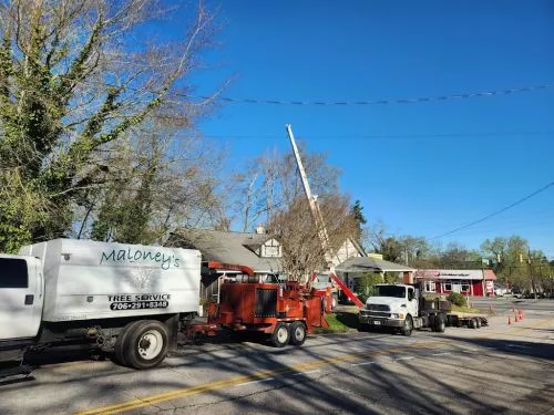 They took down three large trees within 15 ft of my home with power and internet lines running through them