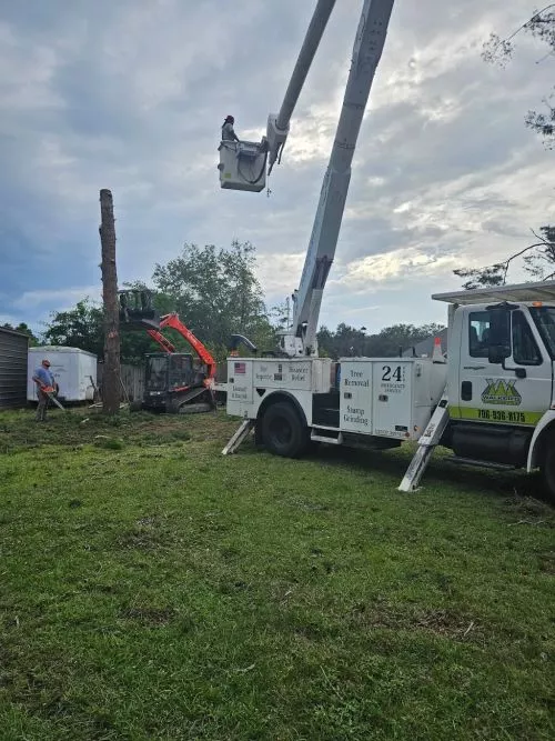 These guys were awesome. Very professional and pleasant to have working on the property