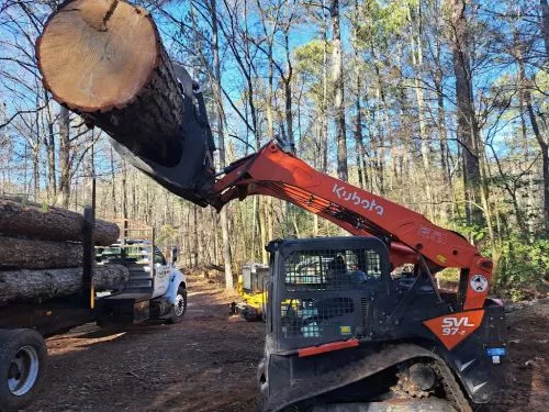 We had a huge dead pine near our home that needed to be removed