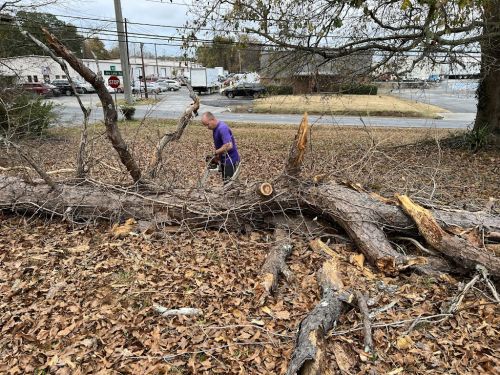  alt='They showed up on time as scheduled. They had the trees down in 3 hours, and had my whole backyard cleaned up in 2 hours'