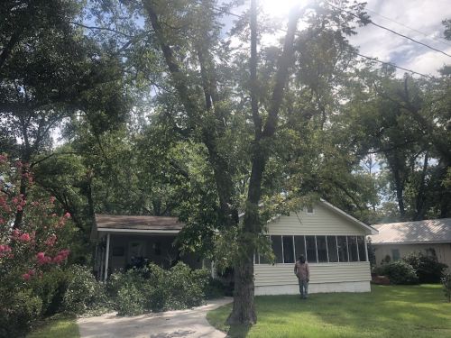  alt='Kellogg came out on the same day I called . Gave me a free estimate'