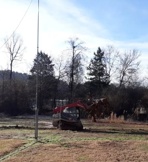 Randy removed an overgrown tree in my front yard. I was so pleased with his professional work. He left no mess