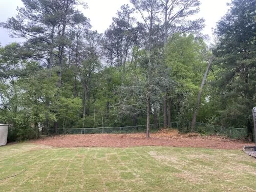 Great experience! Randy came into my backyard and took out 11 pines