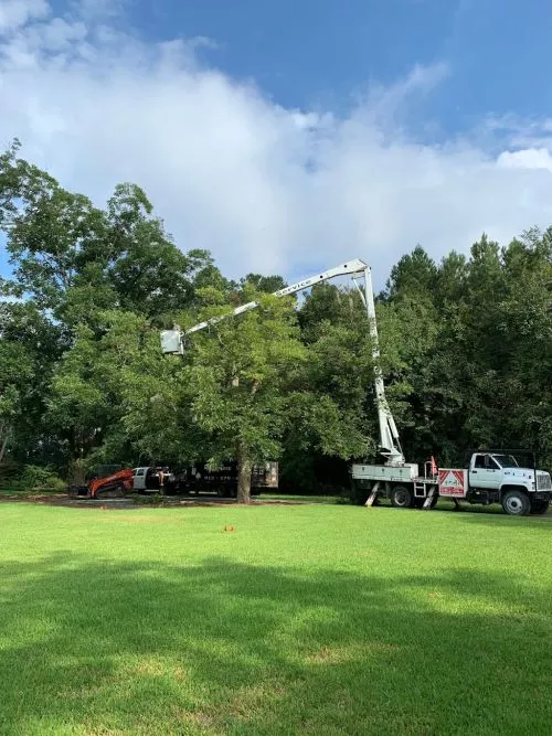 My husband and I found AJ"s (via Google) and called for a quote to remove a large pecan tree and a huge limb from a 2nd
