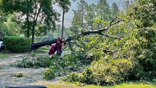  alt='Wow! I had a great experience with Southern Tree Care. The team arrived on time, worked hard and did a great job'