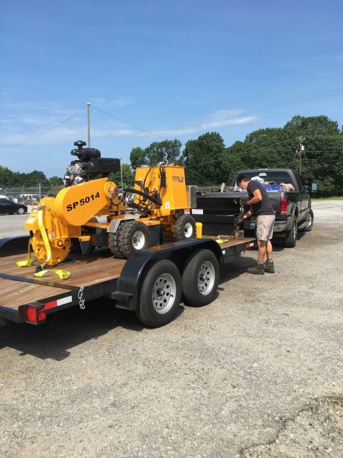  alt='Thank you Mr Hank for a speedy response, and doing a fantastic job of removing my stump. '