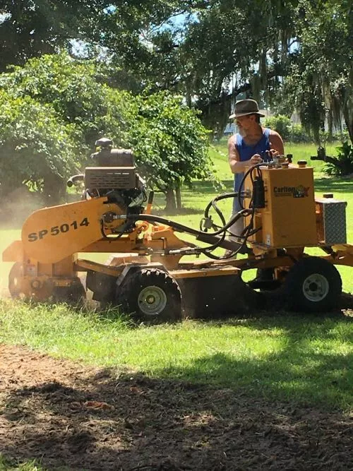 Thank you Mr Hank for a speedy response, and doing a fantastic job of removing my stump. 