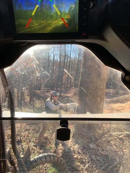  alt='South Broad did a fantastic job removing a large number of trees in my yard'