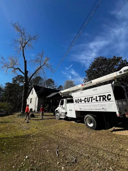 Adam and the crew at LTRC-Tree Specialists were outstanding through the entire process