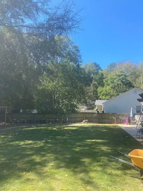 Mr. Reyes took great care cutting down a dead tree on my property. . excellent communication would recommend!