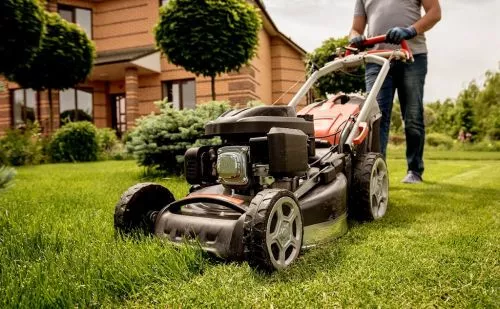 Edgar @ Mayan tree services agreed lawn mowing and fixed a schedule for this week Monday