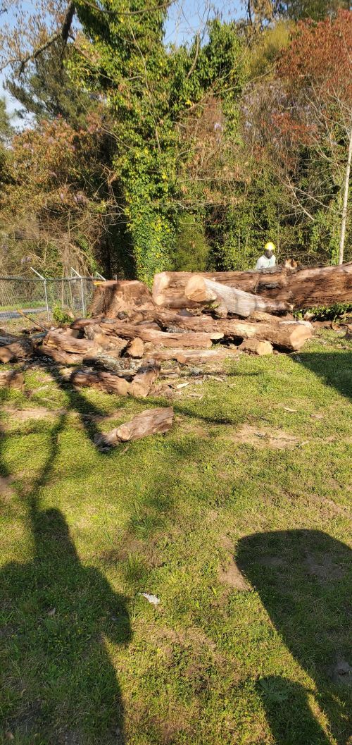  alt='Great costumer service. Good price friendly and attentive to what you want done good clean up'