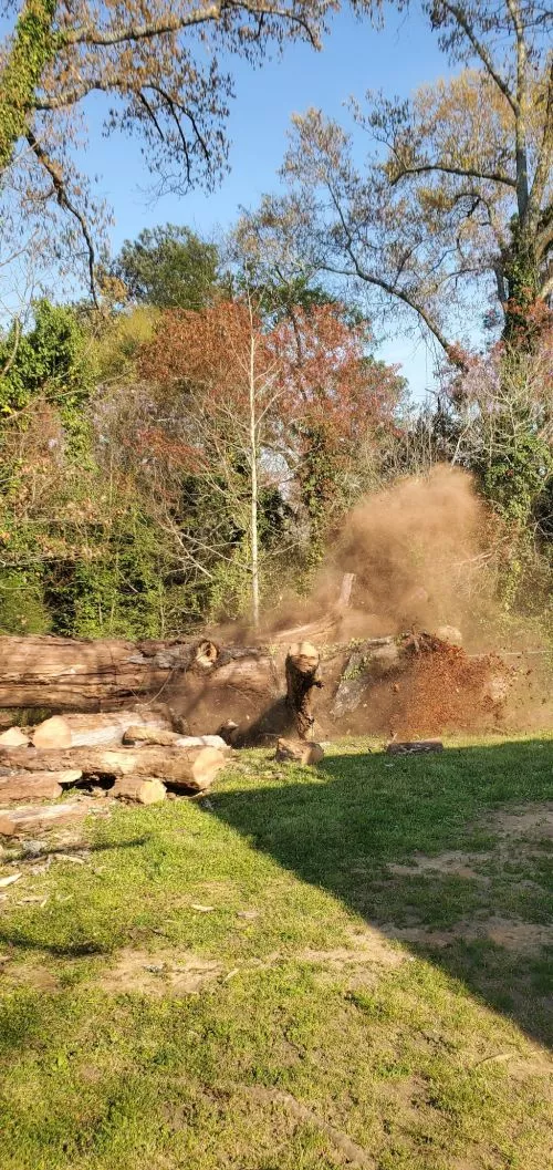 Honestly, I was skeptical about hiring a tree service because there are so many horror stories about the tree companies in