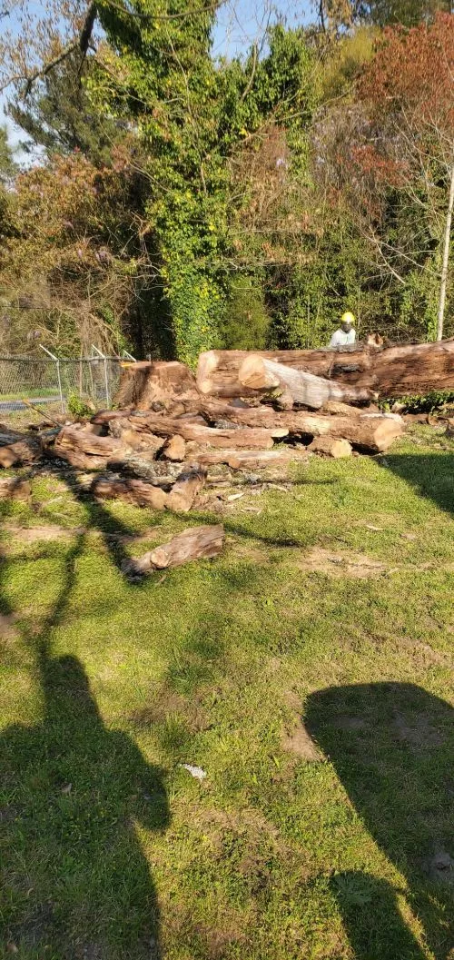 They did a great job! The work was very through and the workers were kind, respectful, and professional