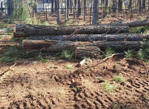  alt='Wardlaw lawn and tree service are amazing and displayed great customer service'