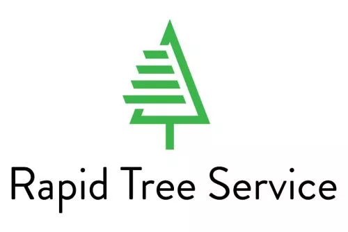 Rapid Tree Service provided thorough, professional service. The crew completed a removal of three dead trees, a dead bush,