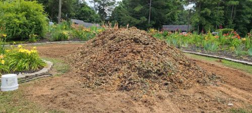  alt='Robert has been such a breeze to work with. He is professional and did a wonderful job removing several large oak trees'