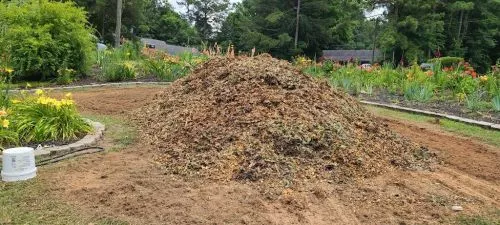 Great experience. I called one day asking for free chip drop. By the next day i had a dump truck load of mulch for only 50