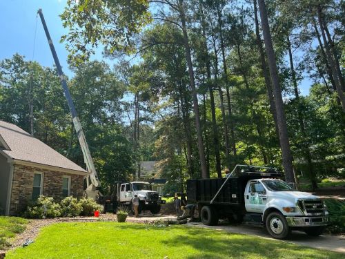  alt='JP Tree Service provides excellence! Start to finish, they were professional, thorough and reliable'