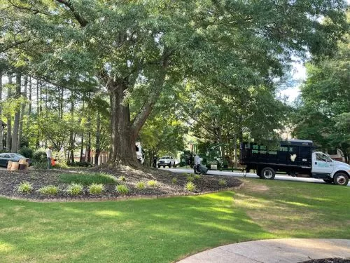 JP Tree Service provides excellence! Start to finish, they were professional, thorough and reliable