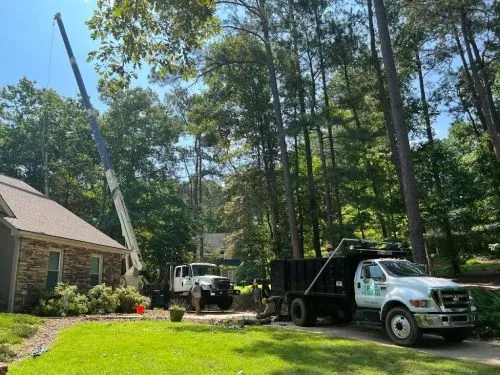 One our Leyland Cypresses fell on our house. I called JP Tree Service and within 30 minutes they showed up to remove it and