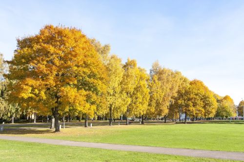  alt='Called them out to give me an estimate in May 2021, called them back to see if they were coming in June, and was told COVID'