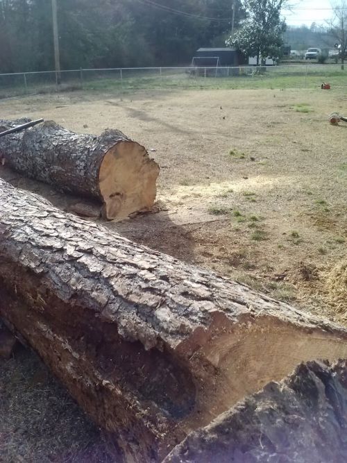  alt='Want to give a huge shout to these gentlemen for their outstanding work'