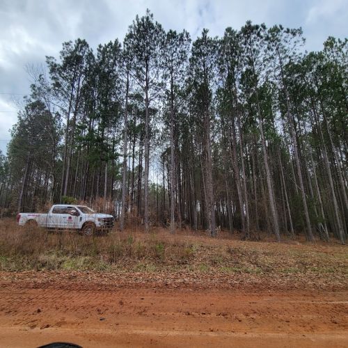  alt='Dennis and his team were outstanding! They responded quickly to our request for an estimate, coming out on a Sunday'