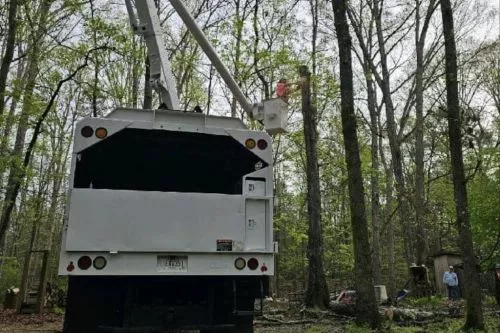 They are very professional and super easy to do business with. We had trees way too close to the house that are not a