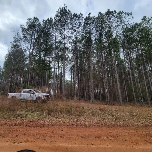 Great experience! We had a couple of trees, branches removed. They performed the tasks in a timely manner and cleaned up