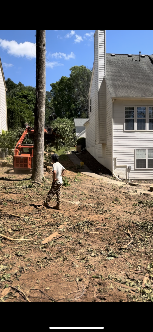  alt='Devin came out and cut 3 good size trees about 4 stories high as well as trimming some branches from another bigger tree'