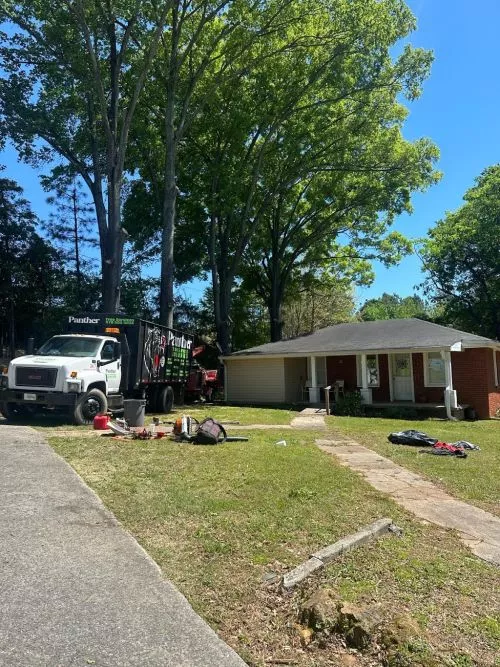 I had a tree behind my house. These guys did a clean and safe job. I totally recommend them