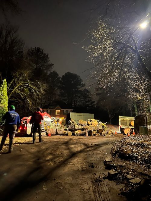  alt='These guys just came down to Newnan to take down a large old pine that had fallen onto an oak'