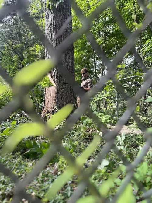 We were so impressed by Leafy Heights Tree Guys! They came and cleared up about of trees in our backyard and took one in