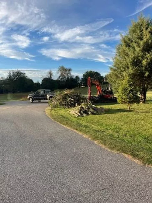 I had the luck in finding Matt to take down a huge white pine and regraded my driveway all the same day