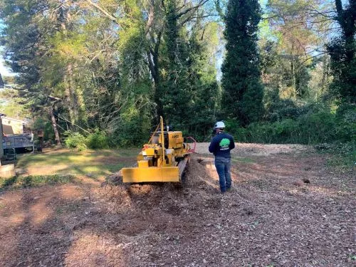 I used Zamora to take care of my tree work in my back yard. The service and clean up was amazing