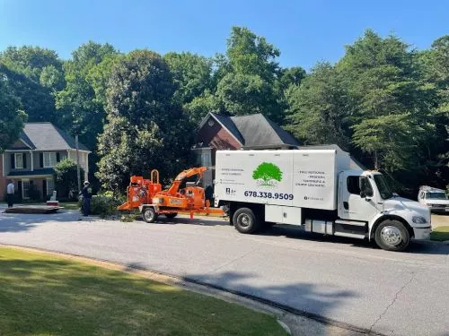 “I recently had the pleasure of working with Zamora Tree Service, and I couldn’t be happier with the results