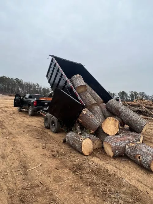 I am very satisfied using ATS for my tree trimming and cutting my trees in backyard