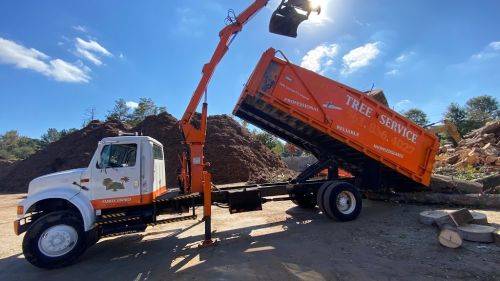  alt='Very happy with my experience with Sergeant Tree Services. I had a large Pecan to be removed'