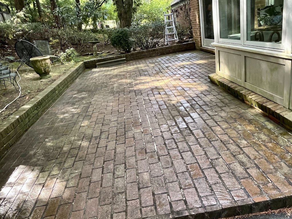 Trimmed shrubs for me and did a great job, I’ll definitely use his services again!
