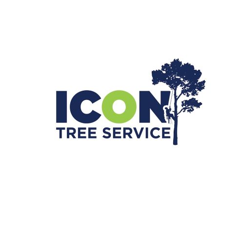  alt='Amazing service from Icon Tree Service! Not only do they do an outstanding job, but they have the owner, Mario, who is'