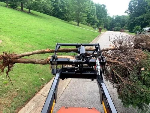 Taylor and his crew did an excellent job restoring my front yard