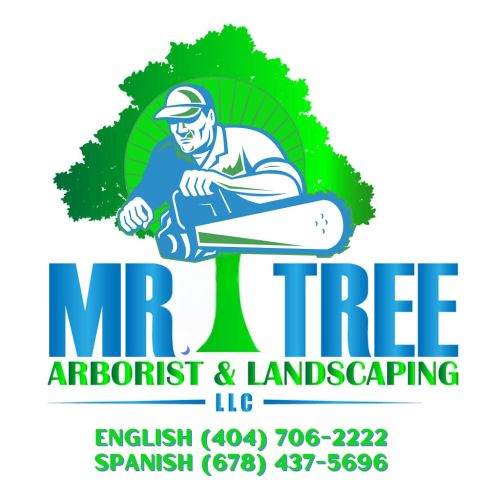  alt='Lorenzo, Julian and crew did a great job for us taking out a huge 30+ yr old Bradford Pear tree that was close to the fence'