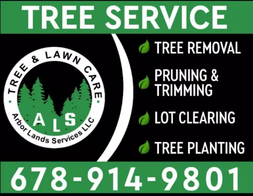 Arbor Tree Service is an Excellent company! They are very professional, reasonably priced and easy to work with