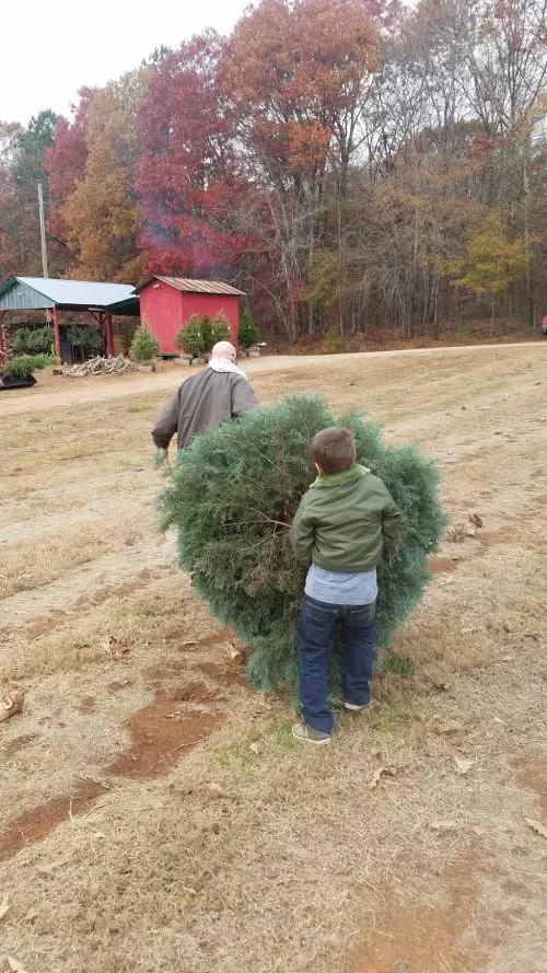 We try and come here every year for our Christmas tree. We love having our kids pick out the tree and enjoy some s’more